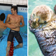 Image for article titled This Thing Looks Like That Thing: Adorable Olympic Swimmers vs. Hand-Holding Otters